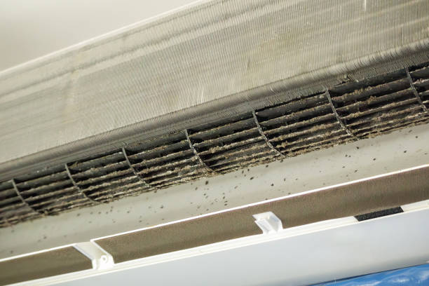 Best Air Filter Replacement Services in Nevada, MO